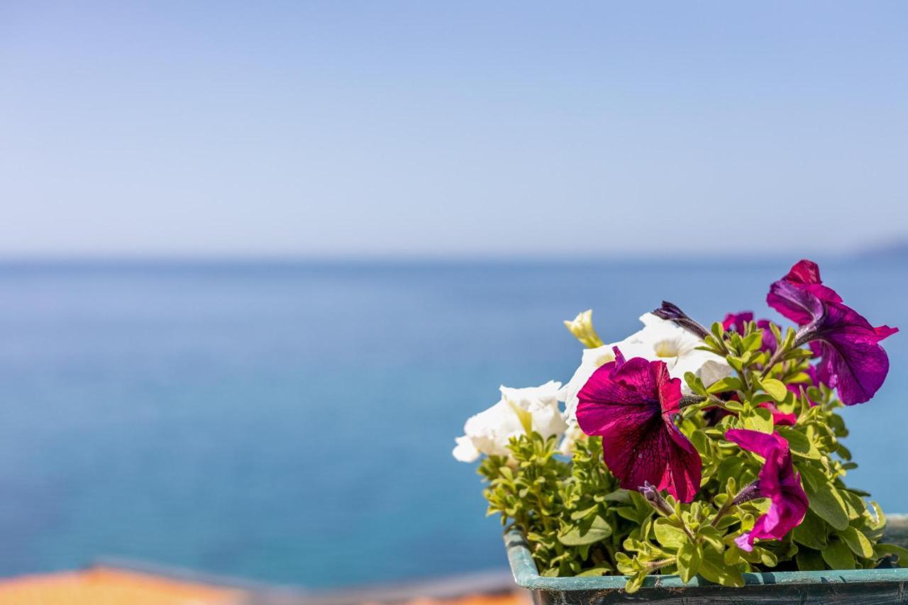 Вілла La Terrazza Sul Mare Magomadas Екстер'єр фото
